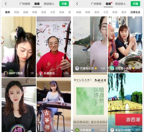 娱乐圈吃瓜冰雨直播视频